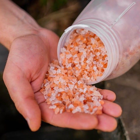 Nash Himalayan Rock Salt